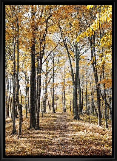 Autumn Leaves 20" x 29" Framed Canvas 22.5" x 31.5"
